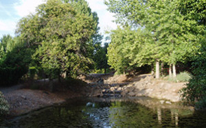 Habitat Restoration 