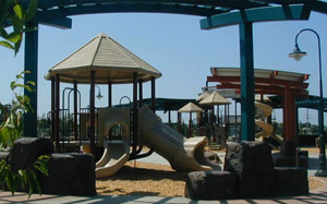 Neighborhood Park/Community Park