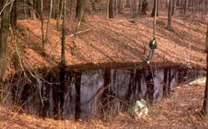 Wetlands/Vernal Pools/Mitigation Banks 