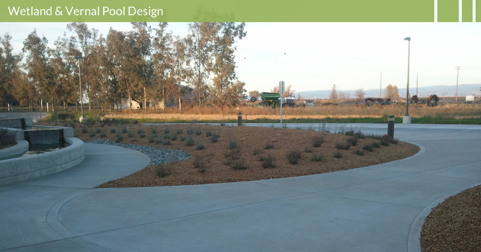 Melton Design Group, a landscape architecture firm, designed Lundeberg Farms in Richvale, CA. A beautiful use of almond hull mulch with bushes and a trough like water feature. 