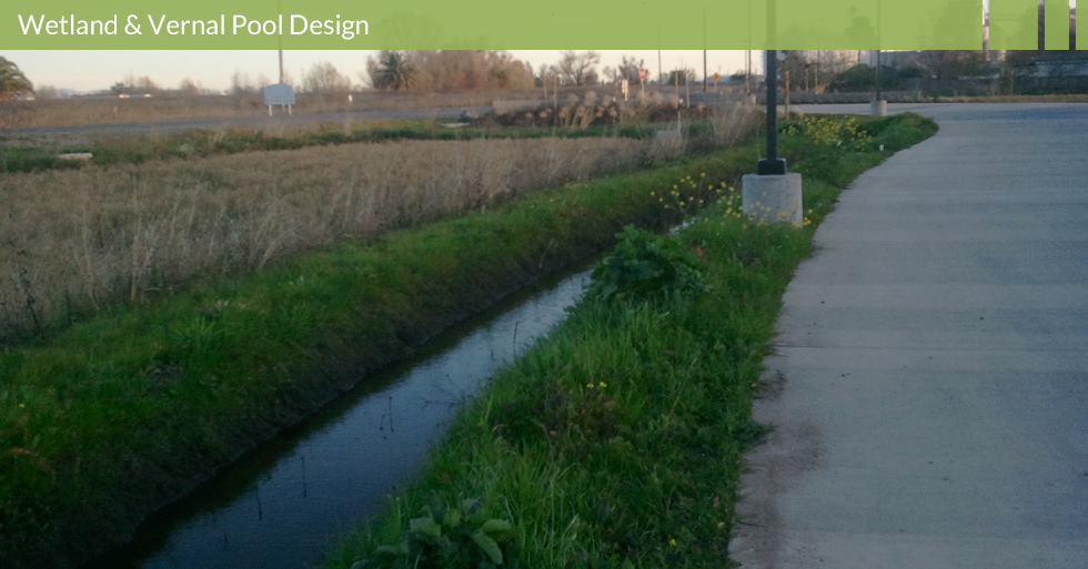 Melton Design Group, a landscape architecture firm, designed the bioswale filtration at Lundberg Farms in Richvale, CA. 