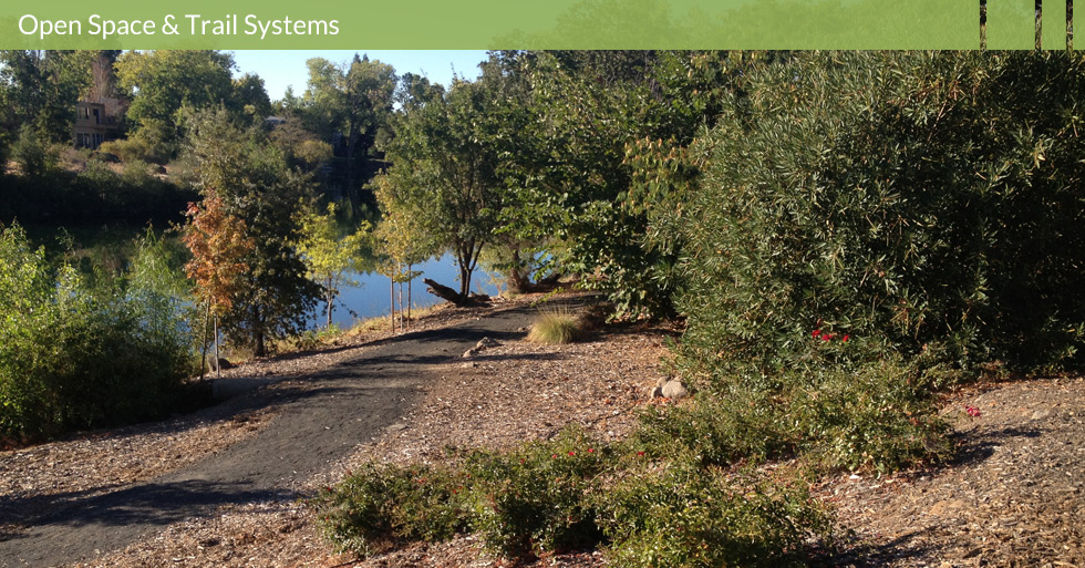 MDG-parks-open-trail-native-oaks-wood-chip-mulch-lower-lake-chico