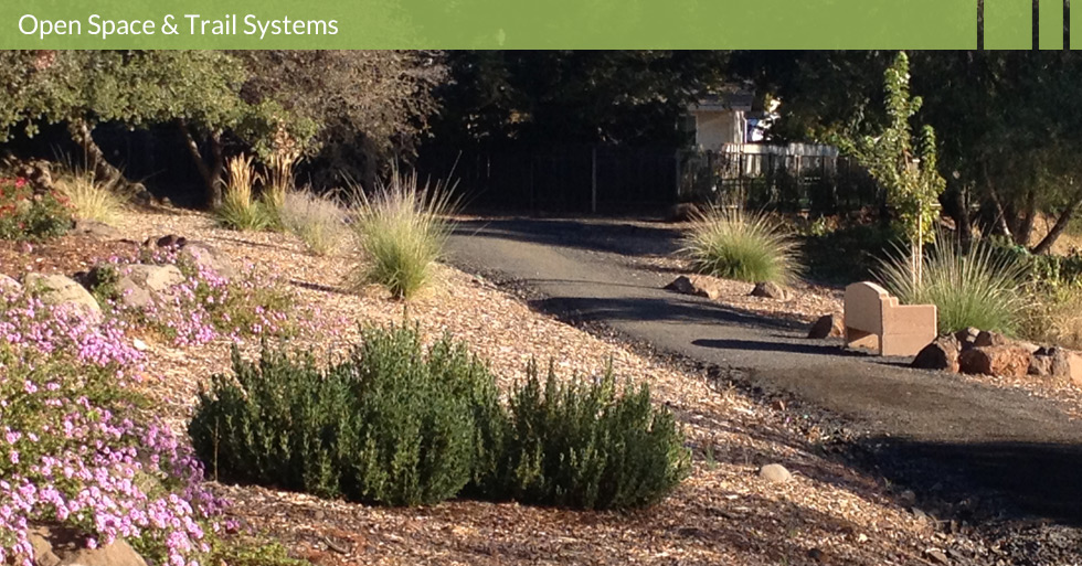 MDG-parks-open-trail-native-ornamental-planting-ca-park-chico