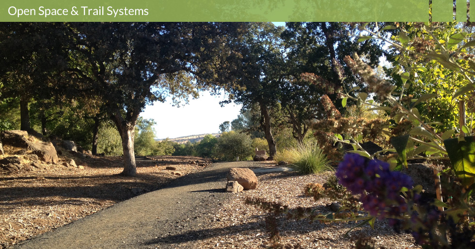 MDG-parks-open-trails-natives-mulch-lining-upper-lake-chico