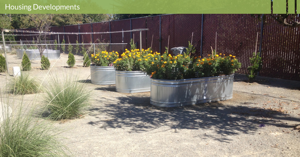 Melton Design Group, a landscape architecture firm, designed this outdoor space for the Housing Authority of Butte County in Gridley, CA. This minimal landscape and high functionality landscape is complete with classic water trough planters.