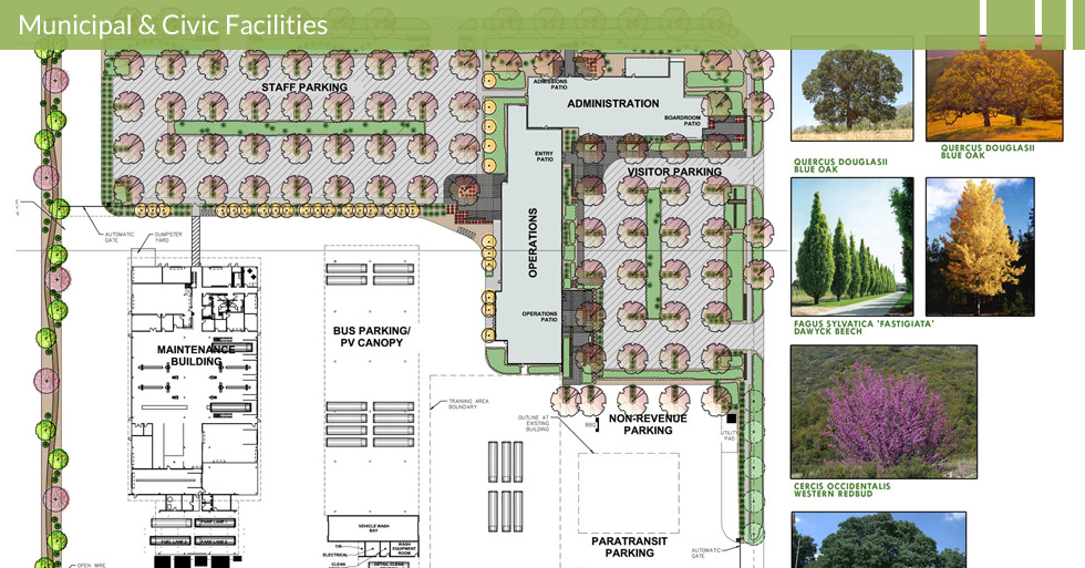 Melton Design Group, a landscape architecture firm, designed the Butte Regional Transit Center in Chico, CA. Completed with blue oak and bitch trees, western redbud bushes.