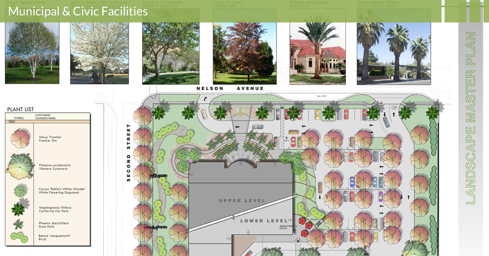 Melton Design Group, a landscape architecture firm, designed the Butte County Hall of Records in Oroville, CA. Designed with many different types of trees – including elm, sycamore, dogwood, California fan palm, birch and more. 