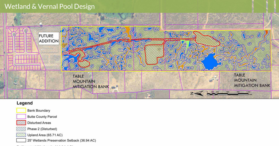 Melton Design Group, a landscape architecture firm, designed the Linkside Wetland Inventory in Butte County, CA. 