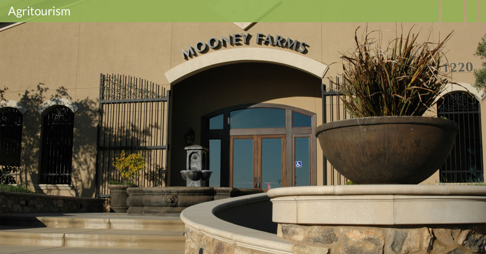 Melton Design Group designed Mooney Farms in Chico, CA.  Mooney Farms features a European design with natural stone, water features, artistic gateway, curved planters, olive trees, tasting room and retail center for their Bella Sun Luci products.