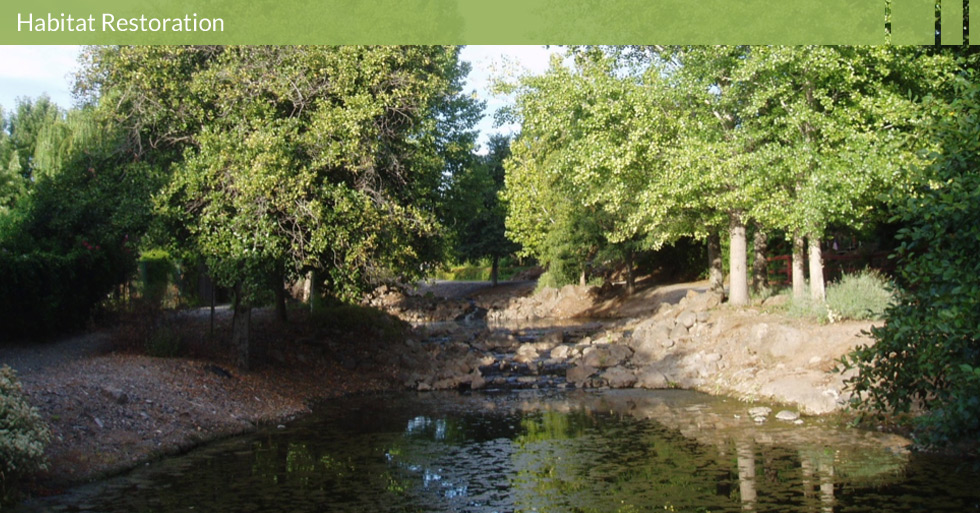 Melton Design Group designed the Chain of Ponds in California Park, Chico, CA. The natural stream running through this housing development was enhanced with a man-made chain of ponds with water falls and natural rocks.