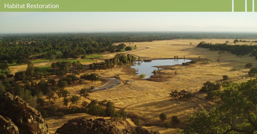 Melton Design Group restored the habitat at Horseshoe Lake in Upper Bidwell Park in Chico, CA.  Featuring a fishing dock, walking trails, designated parking area, picnic area, and natural plantings. 