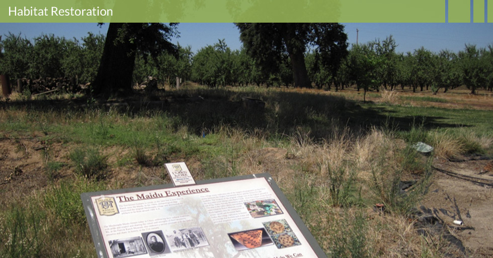 Melton Design Group restored the habitat at Patrick Ranch in Durham, CA. Featuring interpretative panels attributing the land to the Maidu Indian and restoring the land to enhance the natural agriculture.
