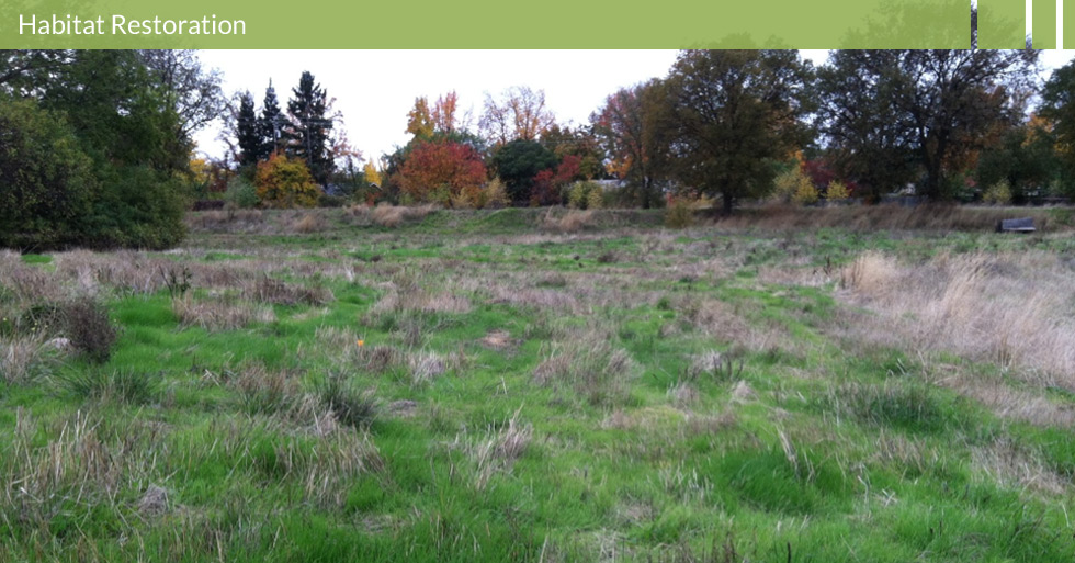 Melton Design Group designed the award-winning Verbena Fields in Chico, CA. This natural neighborhood park was designed around restoring the area to its natural environment. Interpretative panels, natural grasses, pedestrian trails, and open space are all features of this restored habitat.