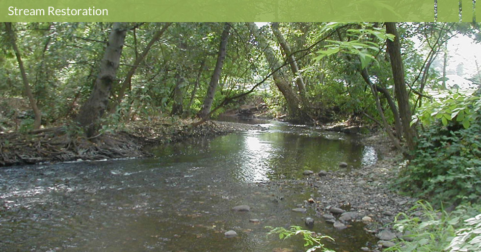 Melton Design Group restored the Big Chico Creek running through Bidwell Park in Chico, CA.