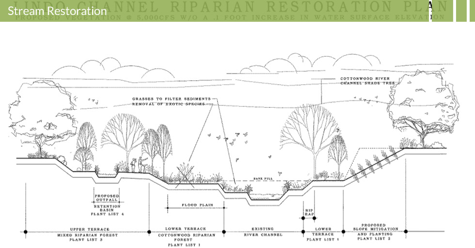 Melton Design Group designed the Lindo Channel Riparian Restoration Plan in Chico, CA.