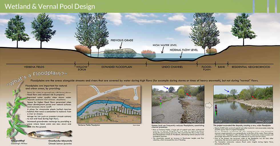 MDG-enviro-wetlands-wetland-protection-verbena-fields-floodplain-info